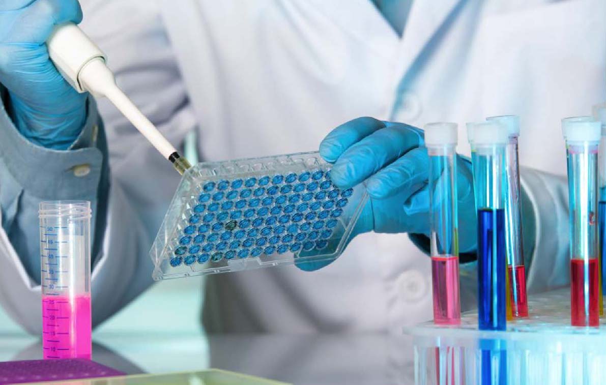 Immunoassay Tests